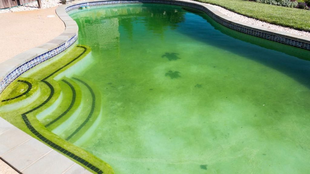 Pool algae treatment Melbourne