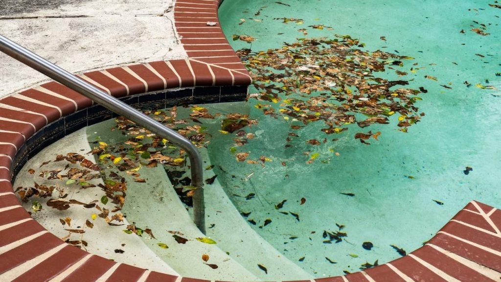 pool cleaning Melbourne